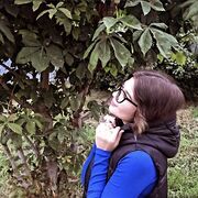 ���������� ������, ���� ������� �����, 22 ����, ������������ ��� ����� � ���������, ���������