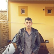 ���������� �����������, ���� ������� Zaur, 44 ����, ������������ ��� ������, ����� � ���������, c�������� ���������