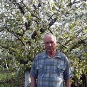  ,   , 73 ,   ,   