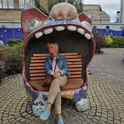 ���������� �����, ���� ������� ������, 56 ���, ������������ ��� c�������� ���������