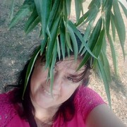 ���������� ���������, ���� ������� ������, 54 ����, ������������ ��� c�������� ���������