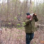 ���������� �����-���������, ���� ������� ��������, 60 ���, ������������ ��� ������