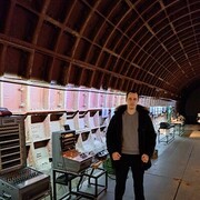 ���������� ������, ���� ������� �������, 37 ���, ������������ ��� ����� � ���������, c�������� ���������