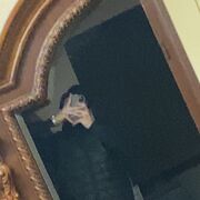  ,   Martin, 25 ,   ,   