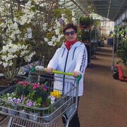 ���������� ������, ���� ������� ���������, 88 ���, ������������ ��� ������, ����� � ���������, c�������� ���������, ���������