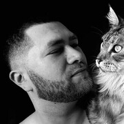 ���������� ���������, ���� ������� ����, 33 ����, ������������ ��� ������, ����� � ���������