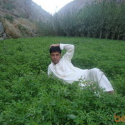  ,   Ahmad, 42 ,     , c , 