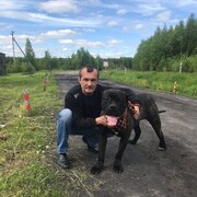 ���������� ����������, ������� ������, 47