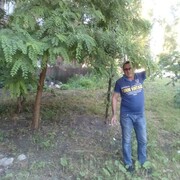  ,   , 62 ,     , c 