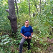 ���������� �����, ���� ������� �������, 43 ����, ������������ ��� c�������� ���������, ���������