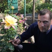  ,   , 41 ,   