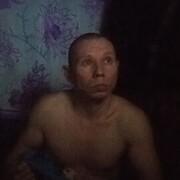   ,   , 41 ,   