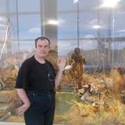 ���������� ������ �����, ���� ������� �������, 37 ���, ������������ ��� ������, ����� � ���������, c�������� ���������