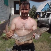 ,   , 47 ,  