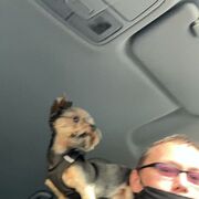 ���������� ������, ���� ������� �������, 45 ���, ������������ ��� c�������� ���������, ���������