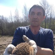  -,   , 56 ,   c 