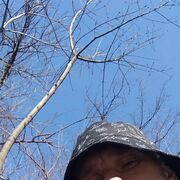  ,   , 39 ,   ,   