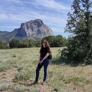 ���������� ������ ��������, ���� ������� �����, 26 ���, ������������ ��� ����� � ���������, c�������� ���������