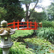 ���������� �������, ���� ������� �������, 46 ���, ������������ ��� ������, ����� � ���������, c�������� ���������