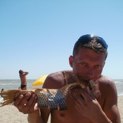  ,   C, 44 ,   