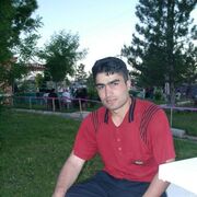  -,   Erhan, 43 ,   ,   