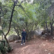  Or Yehuda,  , 40