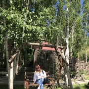  ,   Karolina, 51 ,   ,   , c 