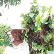  ,   , 50 ,     , c 