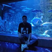 ���������� ������, ���� ������� ���������, 27 ���, ������������ ��� ������, ����� � ���������