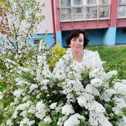 ���������� �����, ���� ������� �������, 55 ���, ������������ ��� ������, ����� � ���������, c�������� ���������