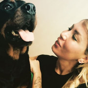  ,   Gunka, 34 ,   ,   , c 
