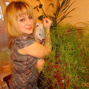 ���������� ����������, ���� ������� ������, 37 ���, ������������ ��� ������, ����� � ���������, c�������� ���������