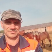  ,   , 51 ,   ,   