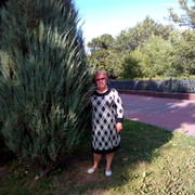 ���������� ���������, ���� ������� �������, 67 ���, ������������ ��� ������, ����� � ���������, c�������� ���������