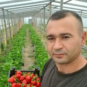 ���������� ������, ���� ������� ����, 41 ���, ������������ ��� ������, ����� � ���������