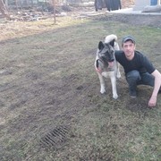 ���������� �������, ���� ������� ������, 48 ���, ������������ ��� ����� � ���������, c�������� ���������