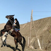 ���������� ������, ���� ����� ����, 25 ���, ������������ ��� ������, ����� � ���������, c�������� ���������