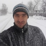 ���������� ����, ���� ������� Zloy, 38 ���, ������������ ��� ������, ����� � ���������, c�������� ���������