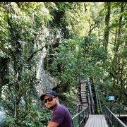 ���������� ����������, ���� ������� ������, 38 ���, ������������ ��� ������, ����� � ���������