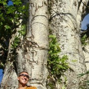 ���������� �������, ���� ������� �������, 42 ����, ������������ ��� ������, ����� � ���������, c�������� ���������