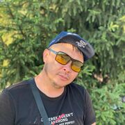 ���������� ���������, ������� ���, 42