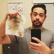 ���������� ����, ���� ������� Dino, 29 ���, ������������ ��� ������, ����� � ���������, c�������� ���������