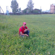 ���������� �������, ���� ������� ��������, 33 ����, ������������ ��� ����� � ���������, c�������� ���������, ���������