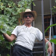  ,   , 63 ,   c , 