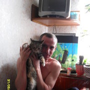 ���������� �����, ���� ������� Wert, 49 ���, ������������ ��� ������, ����� � ���������, c�������� ���������