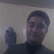  ,   Babur, 50 ,   ,   , c 