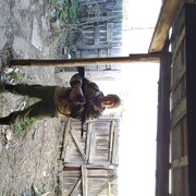 ���������� ������, ���� ������� ���������, 45 ���, ������������ ��� ������, ����� � ���������, c�������� ���������