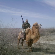 ���������� ���������, ���� ������� �����, 63 ����, ������������ 