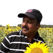  ,   Edwin, 64 ,   ,   , c 