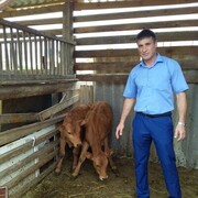 ���������� ���������, ���� ������� �����, 40 ���, ������������ ��� ������, ����� � ���������, ���������